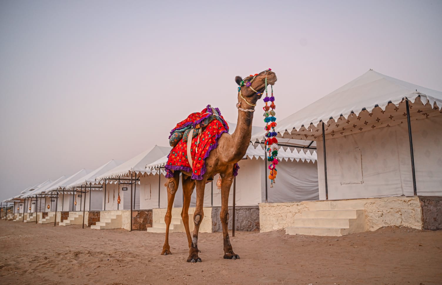 Swiss Tent in Jaisalmer,Sam Sand Dunes Camp,2 Days Jaisalmer Tour Package,Camel Safari in Jaisalmer,Parceling in Jaisalmer